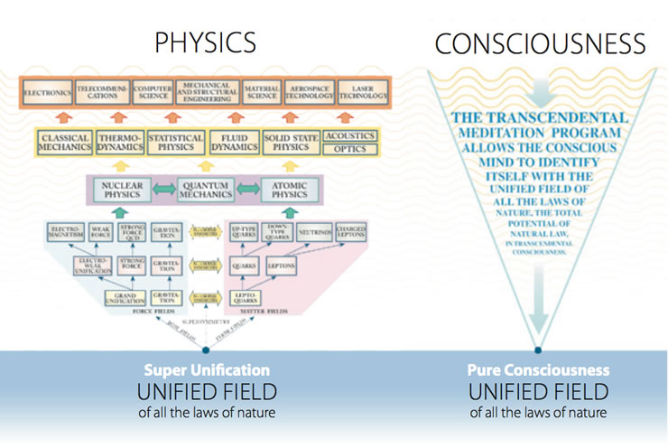 Physics/Consciousness